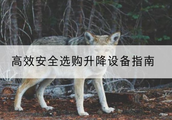 红岗升降货梯厂家推荐-*安全选购升降设备指南