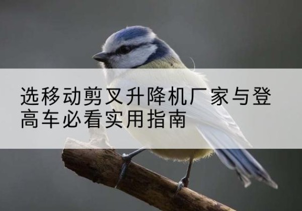 红岗电动升降机厂家-选移动剪叉升降机厂家与登高车必看实用指南