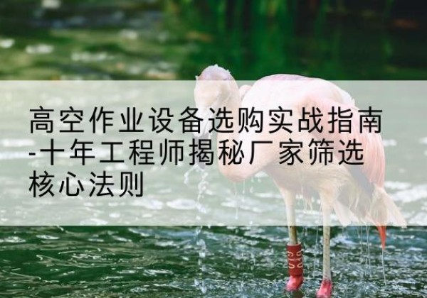 红岗剪叉式升降机厂家-高空作业设备选购实战指南-十年工程师揭秘厂家筛选核心法则